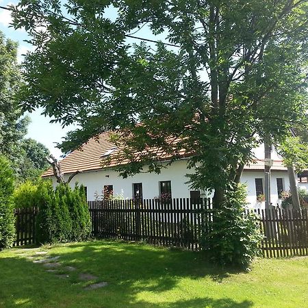 Apartman Kratka Номер фото